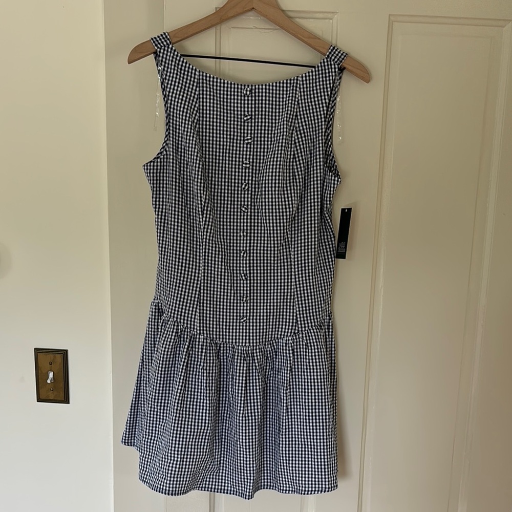 Viral drop waist Blue Gingham Dress
